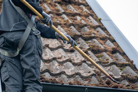 moss removal04