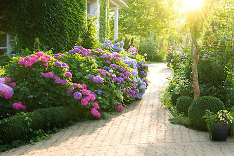 calculate sun in garden 3