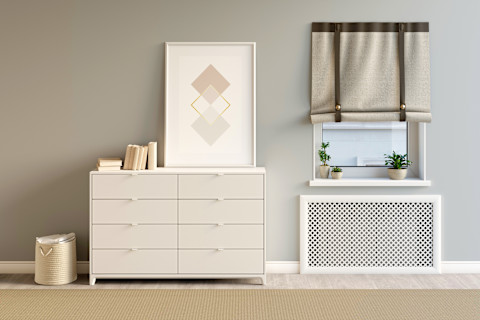 Gezellige lichte woonkamer met planten en radiatorombouw – een helder ingerichte kamer met houten vloer, kamerplanten en radiatorombouw onder het raam.