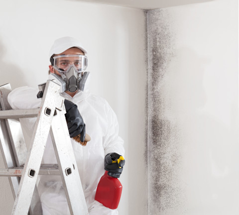 Vakman verwijdert schimmel van een muur tijdens herstelwerkzaamheden in een woning.