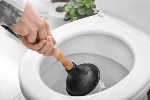 unclog toilet03