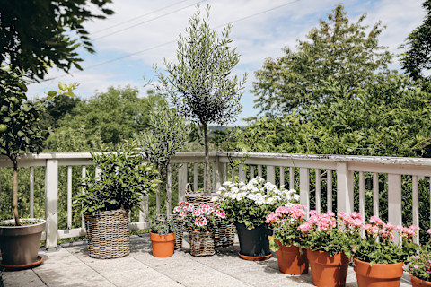 tuscan garden 2