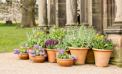 tuscan garden 3