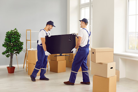 Een team van een professionele verhuisdienst tilt een zware doos zorgvuldig tijdens een verhuizing.
