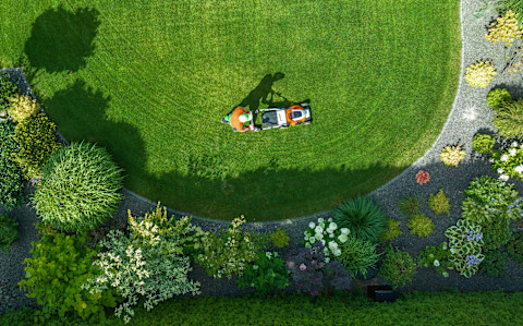 low maintenance garden 4