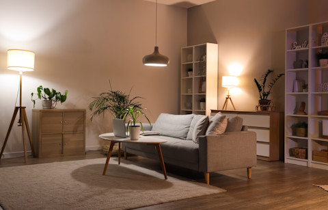 living room colors03