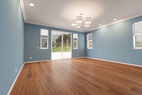 painting laminate 4