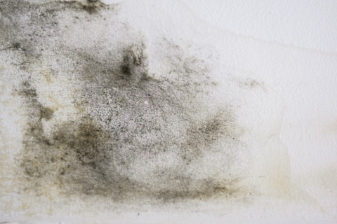 cleaning ceiling 3