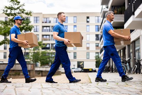 Professionele verhuizers laden verhuisdozen in een bestelwagen tijdens een georganiseerde verhuizing.