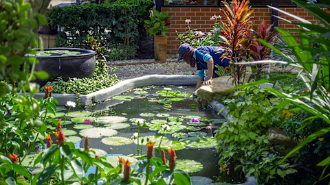 cleaning the pond 4