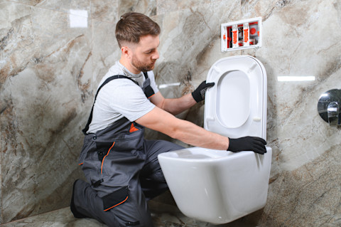 replacing a toilet seat03
