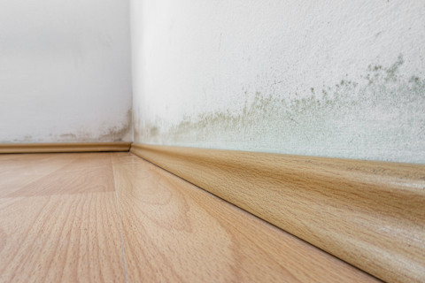painting damp spots 2