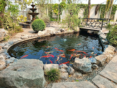 pond pump 3