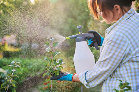 watering the garden 4