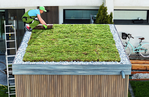 Dakdekker werkt aan een nieuw groen dak op een schuur in de tuin van een woning
