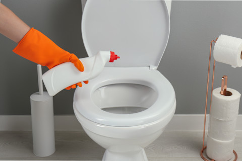 brown stains in toilet03