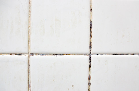 Cleaning bathroom grout01