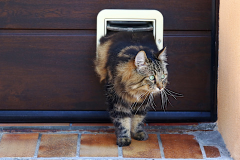 install cat flap 3