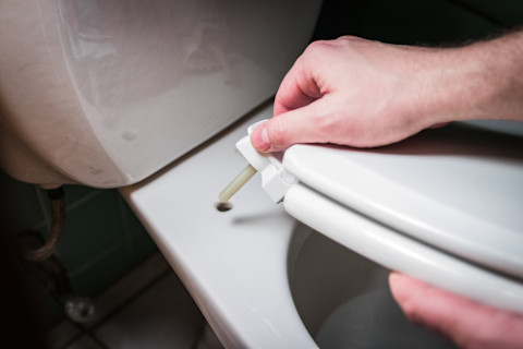 replacing a toilet seat04