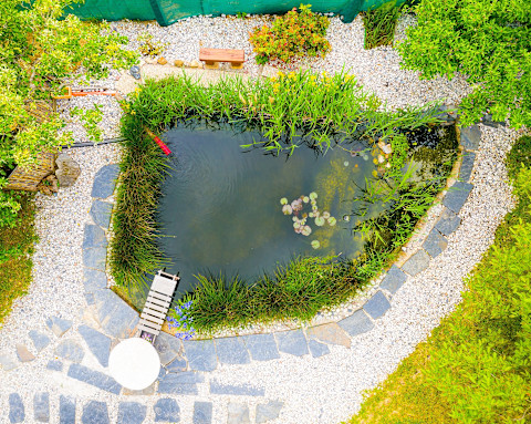 Kleine kunstmatige waterval naast een vijver met waterplanten en stromend water in een tuinomgeving.