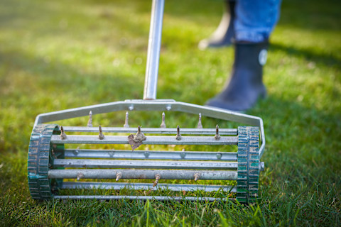 grasbeluchter op gras bedient door hovenier
