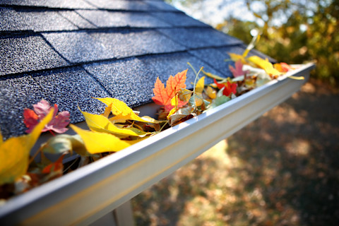 Roof maintenance04