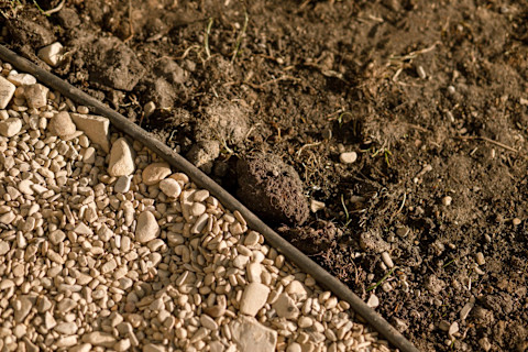 low maintenance garden 2