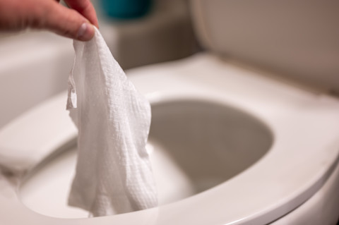 unclog toilet04
