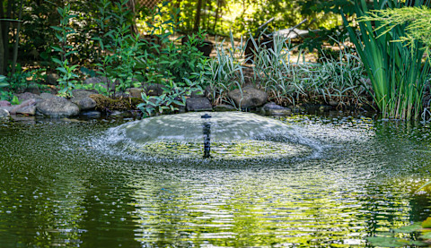  Fonteinpomp in vijver met helder groen water, zorgt voor circulatie en decoratief effect.
