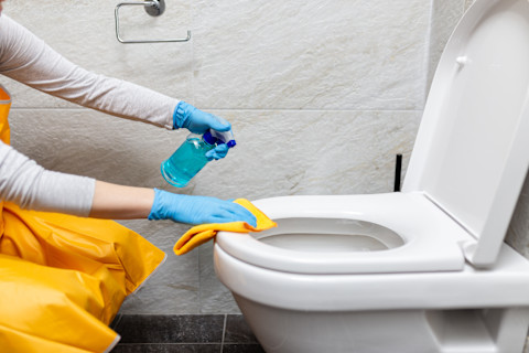 replace toilet bowl 104