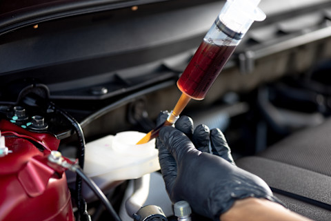 replace brake fluid 2