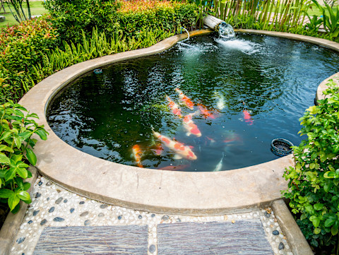 japanese garden 4