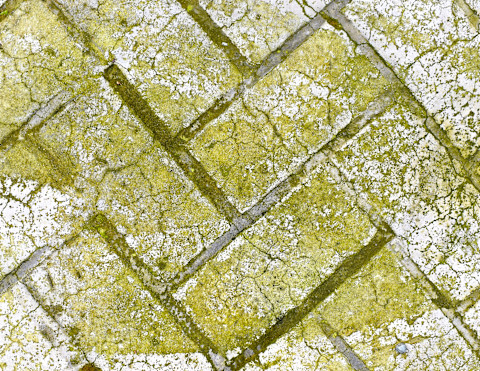 green tiles 2