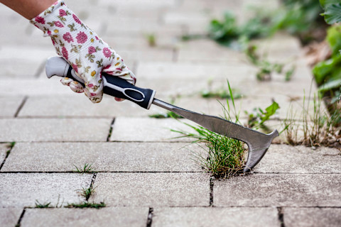remove weeds 2