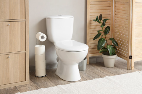 brown stains in toilet04