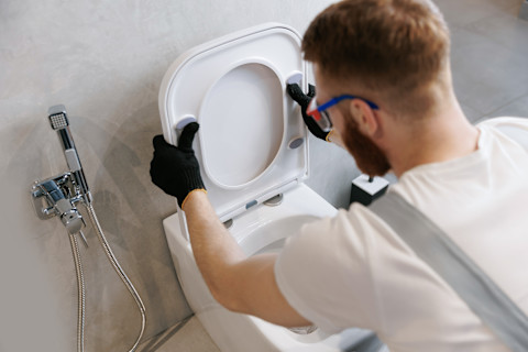 replace toilet bowl 103