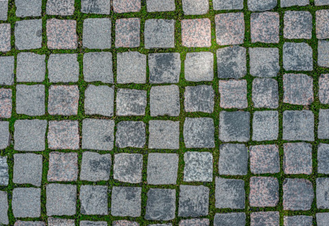 remove moss 2