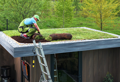 installing a sedum roof03