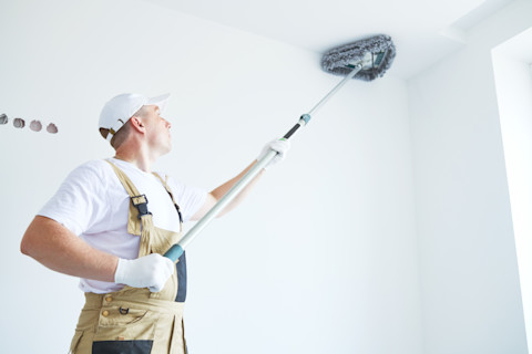 cleaning ceiling 2