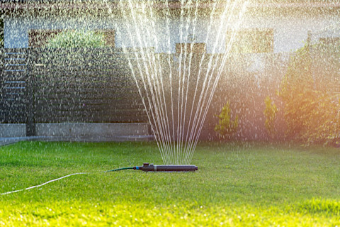 watering the garden 3