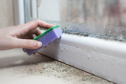 condensation windows 2