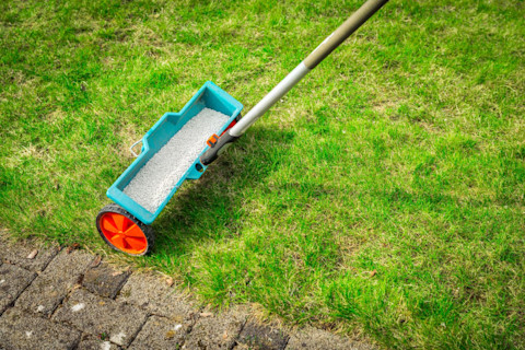 fertilize lawn 3