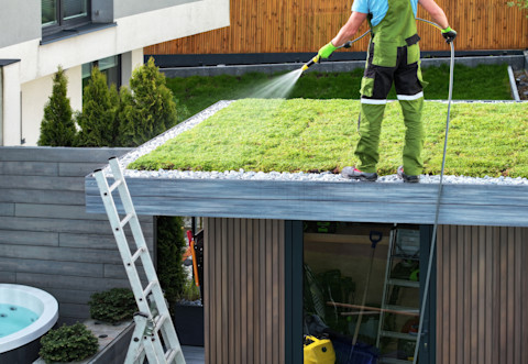 installing a sedum roof04
