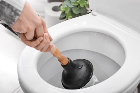 unclog toilet03