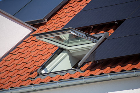 skylight permit 2