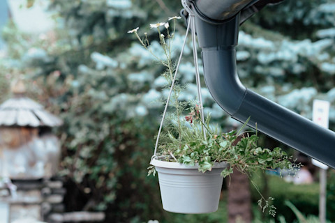Hangplanten als afwerking van je regenpijp in de tuin zijn ideale sfeermakers in de lente en zomer