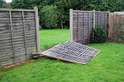 Schutting zwaar beschadigd door storm Eunice, met omgevallen houten panelen in een tuin.