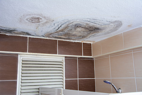 cleaning ceiling 4
