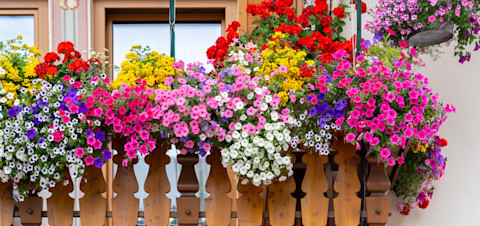 balcony inspiration 2