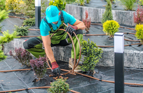 Hovenier installeert irrigatiesysteem op de grond in een tuin